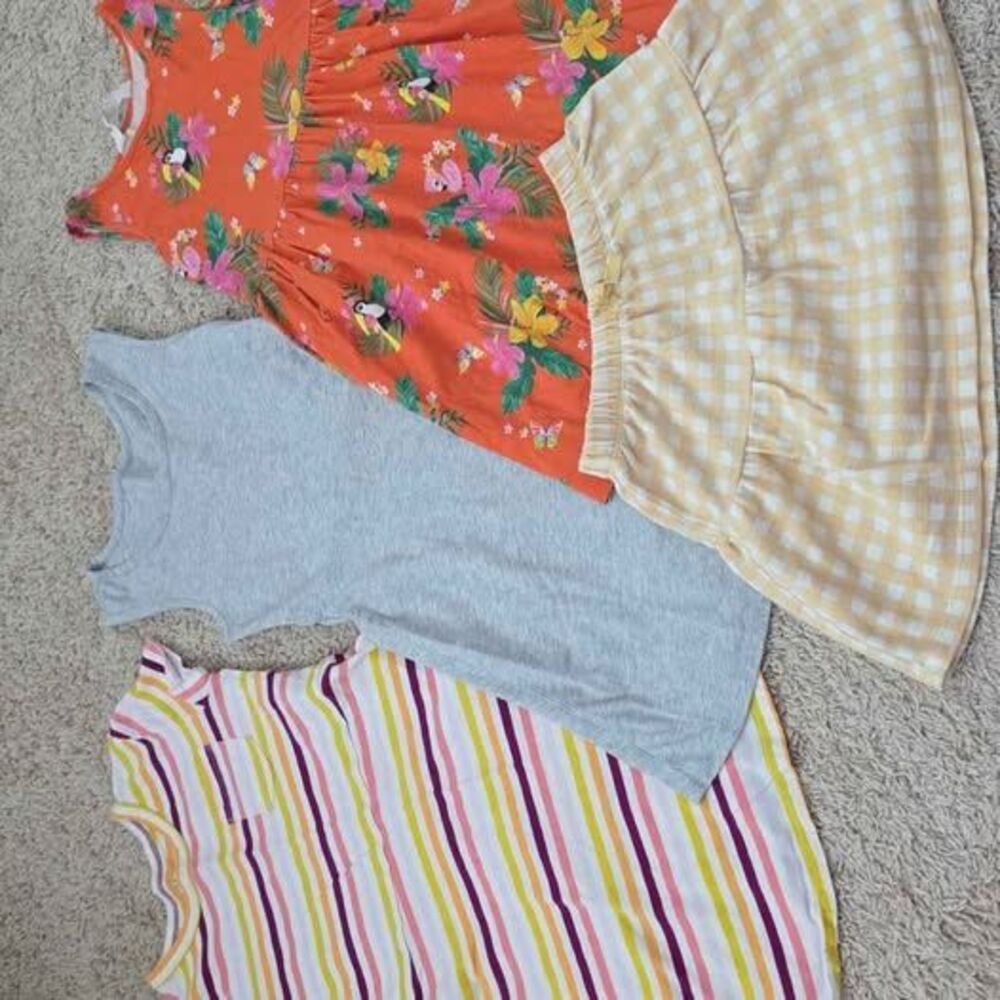 Gap Kids and Wonder Nation Girls' Dress and Skirt Bundle, size 6